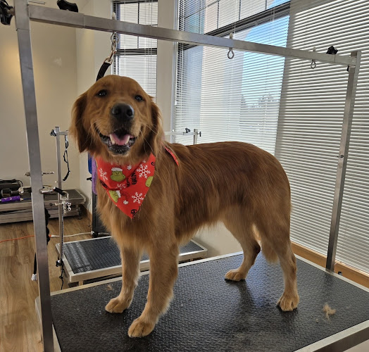 Paragon Grooming & Pet Co.