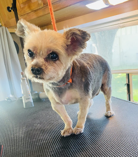 Part of the pack grooming LLC