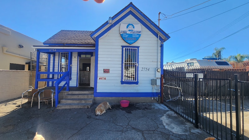 Pasadena Posh Puppies Grooming