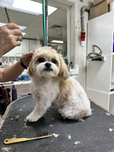 Pat's Pedigree & Pet Grooming