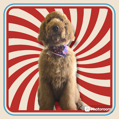 Patriot Pups Grooming LLC