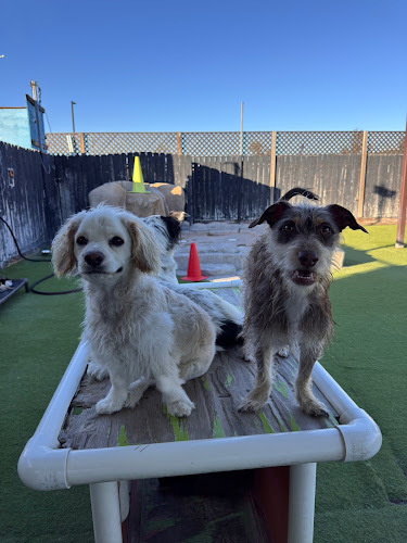 Paw Commons Pet Resort & Training Center - Kearny Mesa