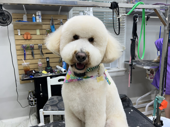 Paw Dat Pet Grooming, Daycare, & Boarding