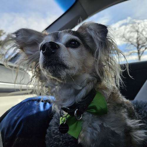 Paw Envy Pet Salon & Spa