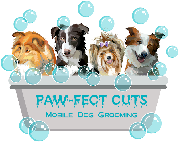 Paw-fect Cuts Mobile Dog Grooming