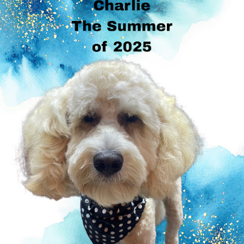 Paw-Fect Grooming By MM