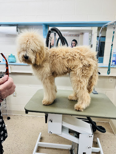 Paw-fect Pets Grooming Salon LLC