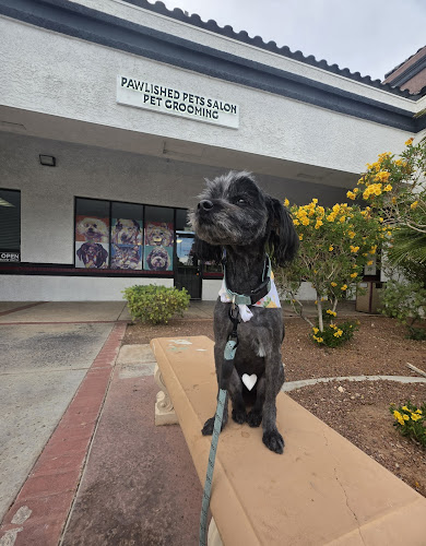 Paw-lished Pets Salon