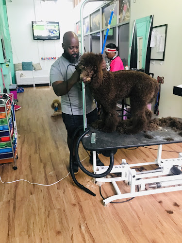 Paw Palace of Atlanta