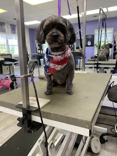 Paw Prints Grooming Spa LLC