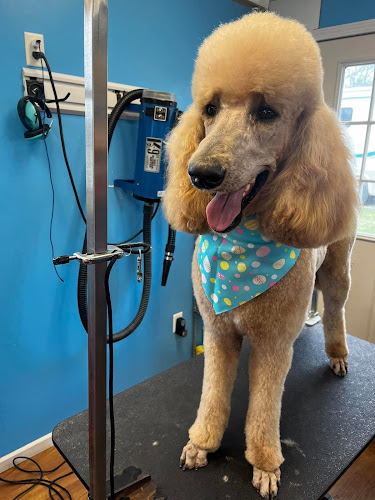 Paw Prints - Slabtown Rd.