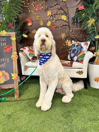 Pawadise Parlor Pet Grooming & Spa