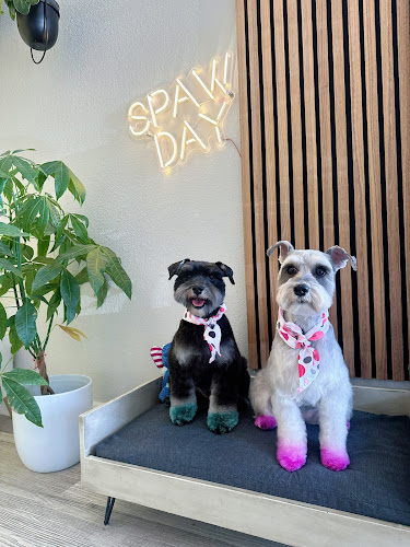 Pawbabies Pet Salon