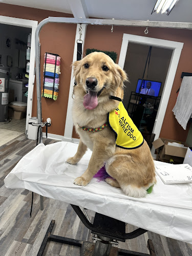 Pawfect Pals Pet Spa