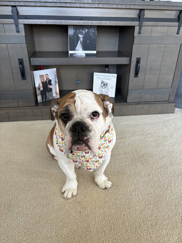 PawLeashed Pet Salon