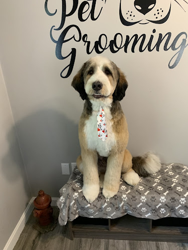 Pawlicious Dog Grooming