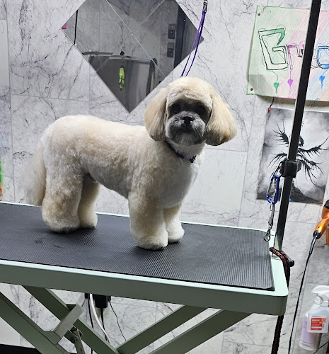 Pawlished Pets Grooming