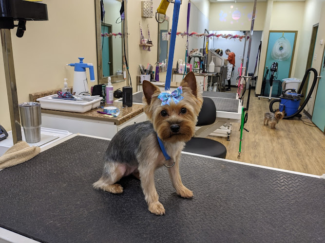 Pawlished Pets Salon & Spa