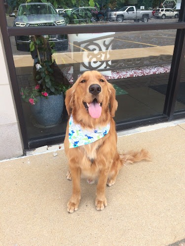 Pawparazzi Pet Salon