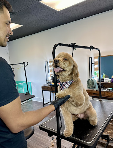 Pawradise Pet Grooming Salon and Mobile