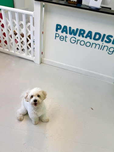 Pawradise Pet Grooming Salon And Mobile