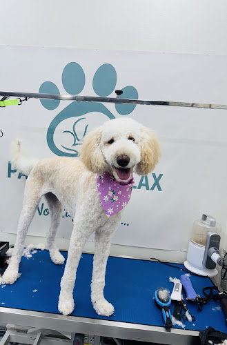 Paws and Relax Mansfield