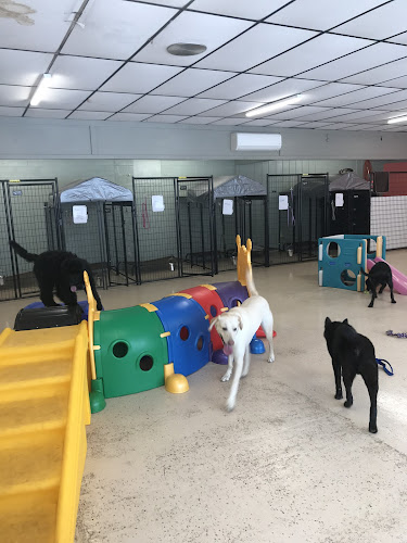 Paws & Claws Finishing Touch