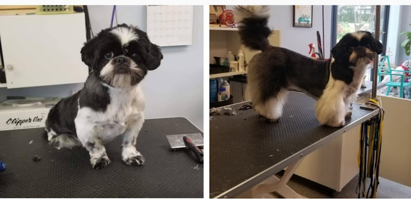 Paws & Claws Grooming, Inc