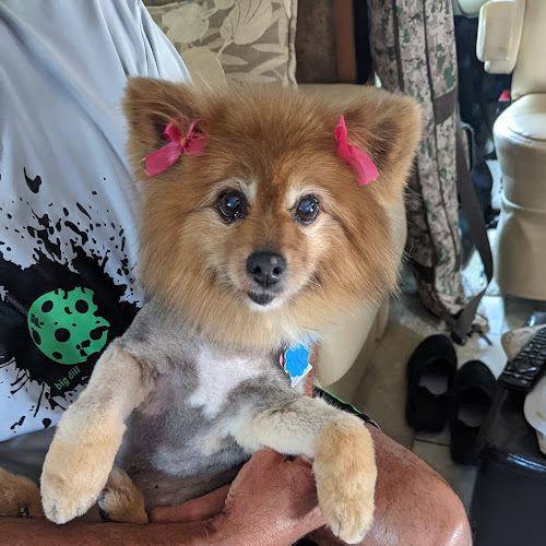 Paws & Claws Pet Grooming & Resort | Dog Boarding Yuma AZ