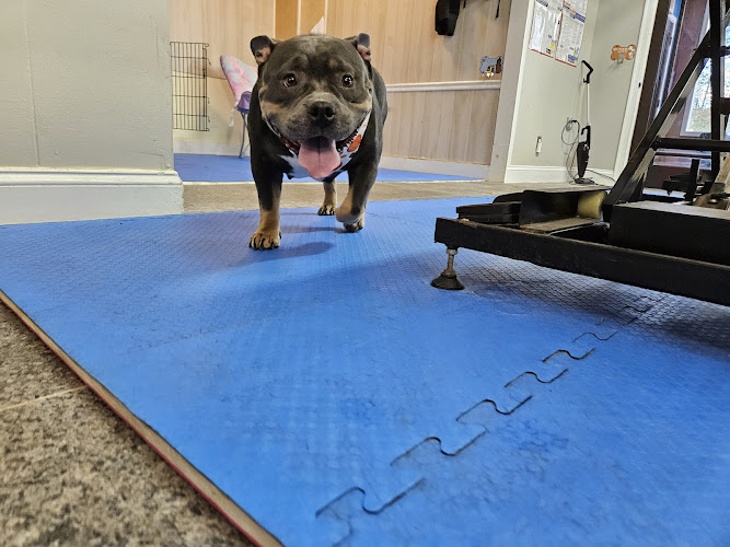 Paws & Claws Pet Salon