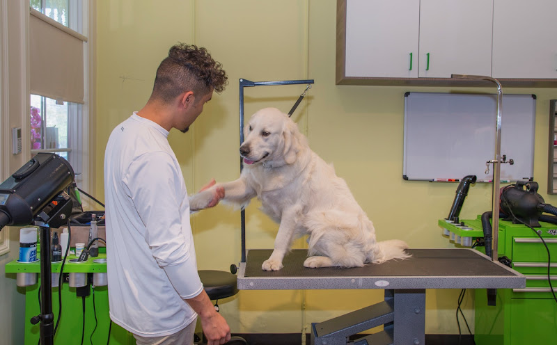 Paws & Effect Pet Spa