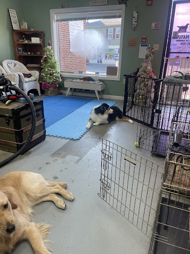 Paws for Nature Holistic Dog and Cat Grooming