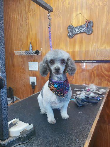 Paws & Kisses Pet Salon, LLC