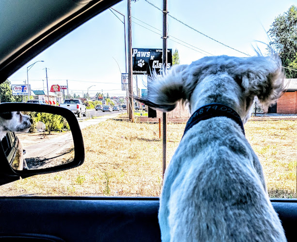 Paws N Claws Dog N Cat Grooming