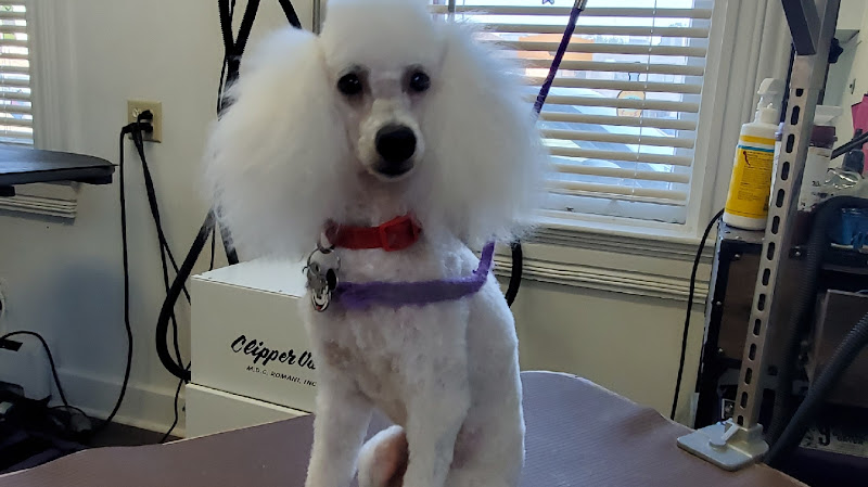 Paws N Claws Pet Grooming