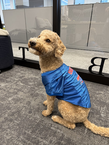 Paws & Pals Dog Salon