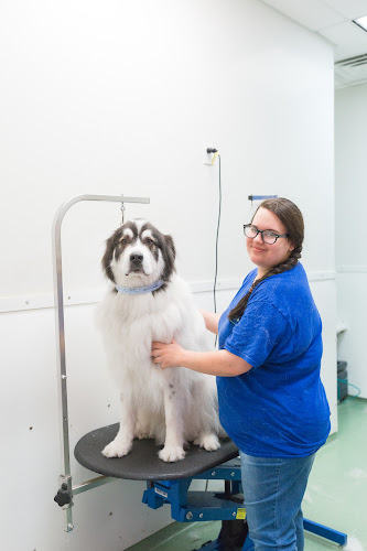 Paws & Play Pet Resort and Training Center