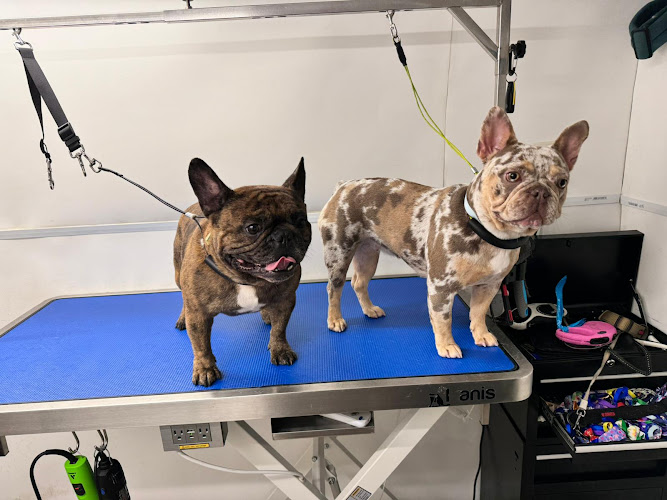 Paws Plush Pets Mobile