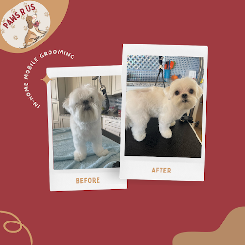 Paws R Us In-Home Mobile Grooming