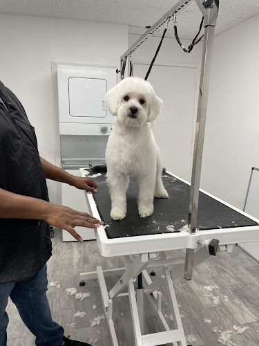 Paws R Us Pet Grooming