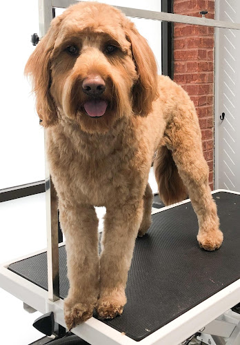 Paws Retreat & Paws Retreat Mobile