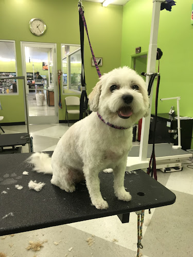 Paws with Claws Pet Spa & Resort