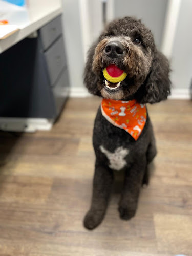 Pawsco's Boarding and Grooming