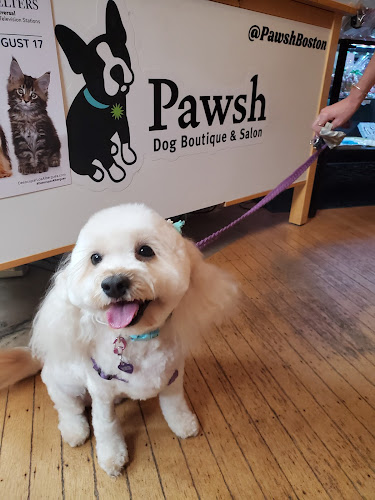 Pawsh Dog Boutique