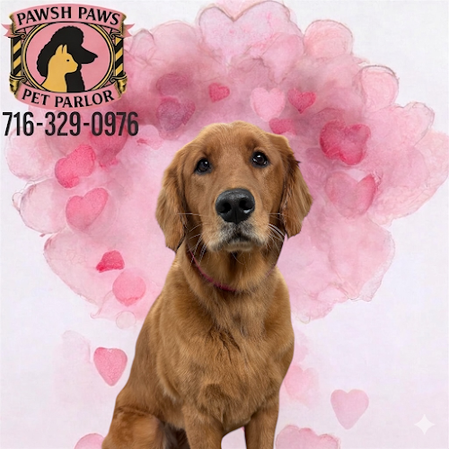 Pawsh Paws Pet Parlor