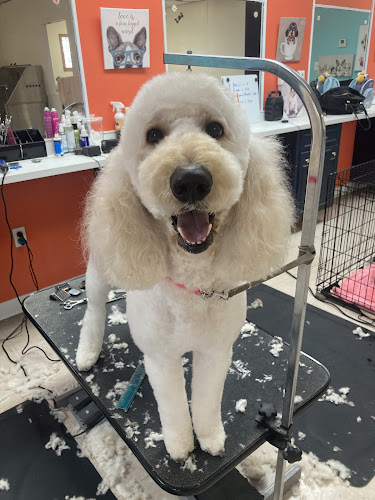 Pawsibilities Dog Grooming