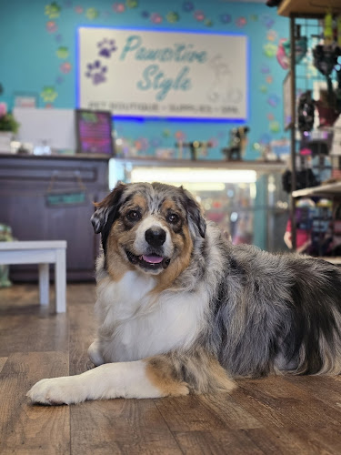 Pawsitive Style Corpus Christi Boutique & Spa