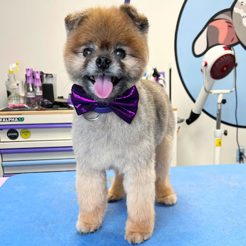 Pawsitive Transfurmations