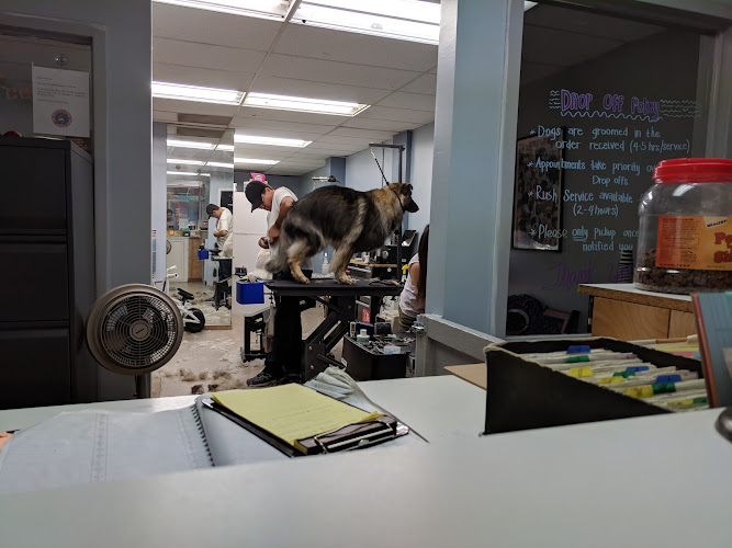 Pawsitively Groomed Pet Salon