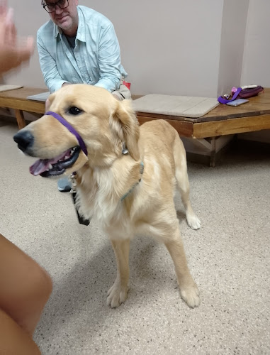 Pawsitively Professionals